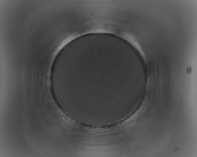 X0000094911173200712131446