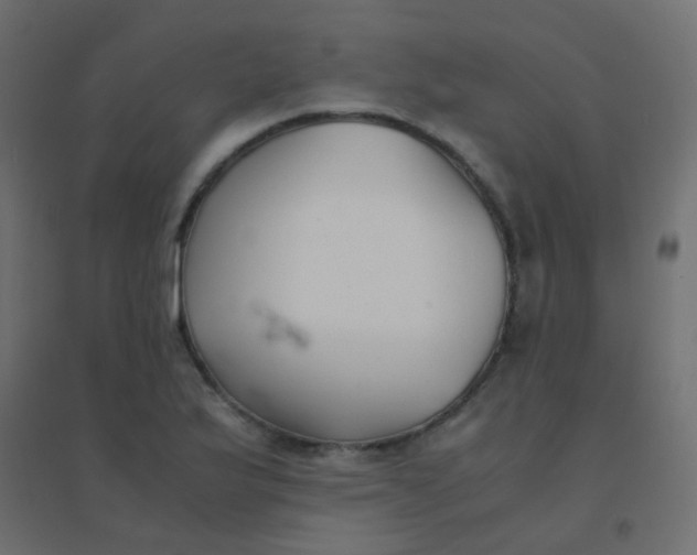 X0000094911175200712131446
