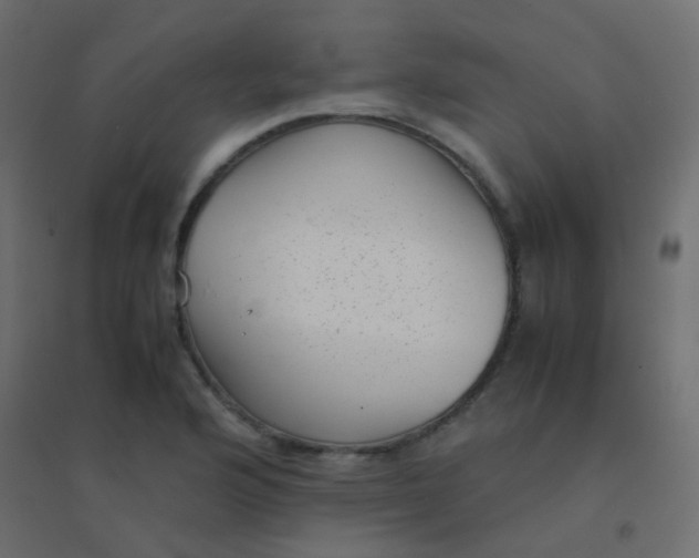 X0000094911176200712131446