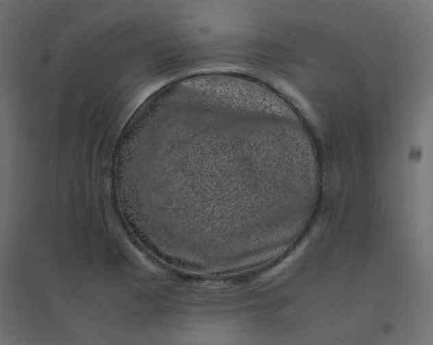 X0000094911177200712131446