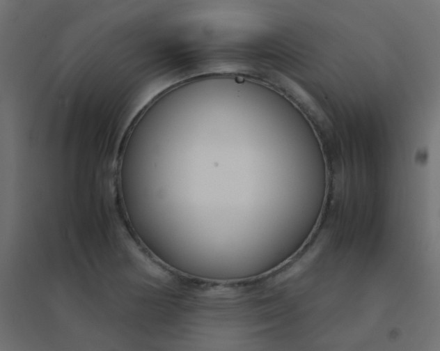 X0000094911178200712131446