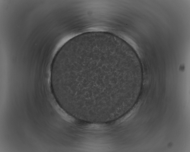 X0000094911179200712131446