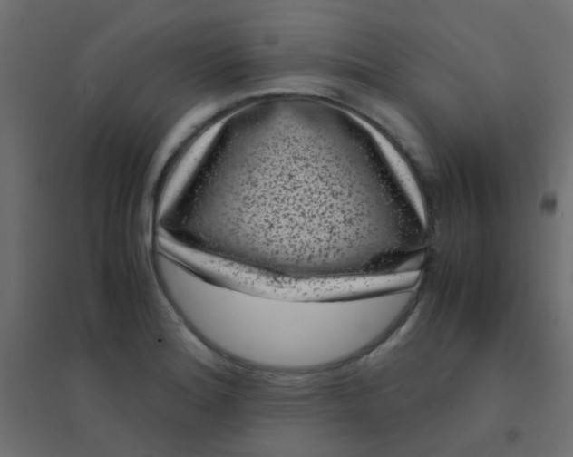X0000094911180200712131446