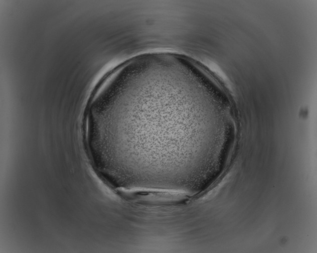 X0000094911181200712131446