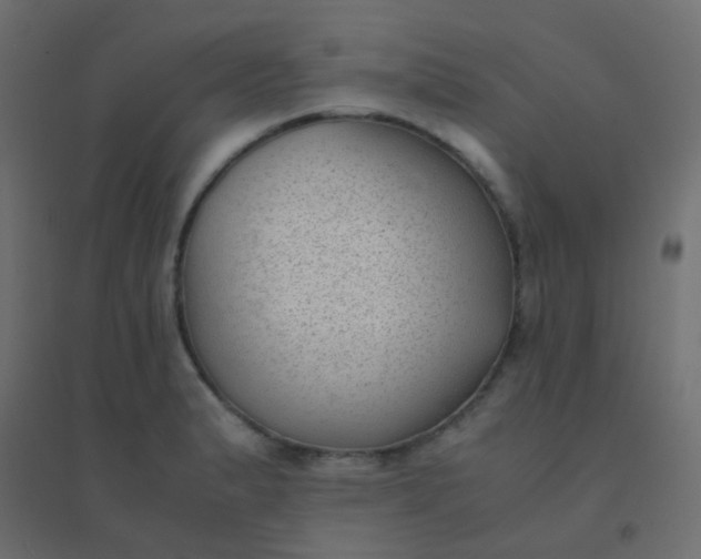 X0000094911183200712131446