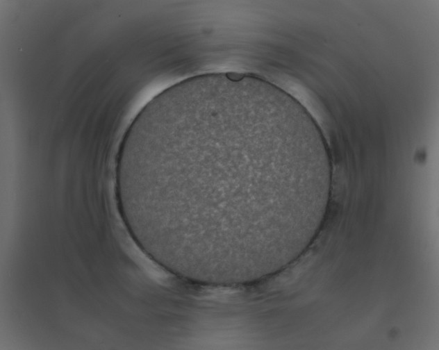 X0000094911187200712131446