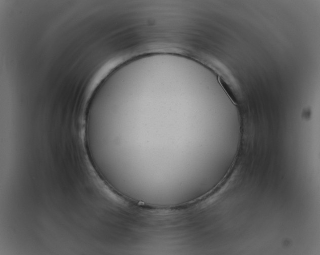 X0000094911188200712131446