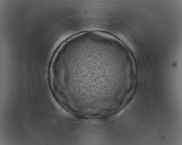 X0000094911189200712131446