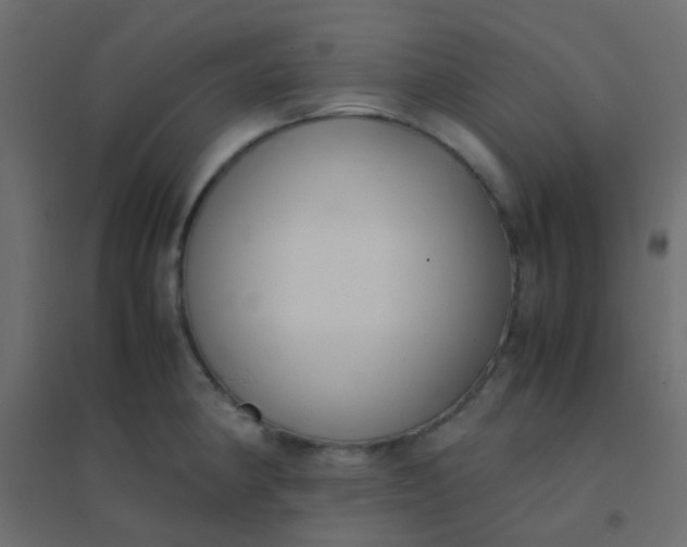 X0000094911190200712131446