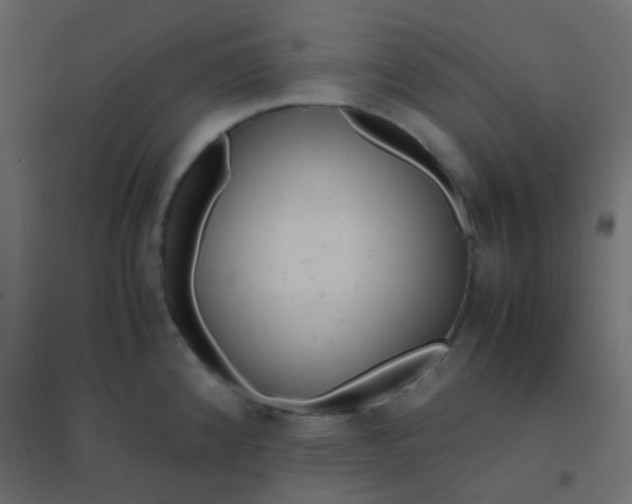 X0000094911192200712131446