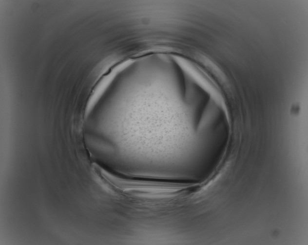 X0000094911193200712131446