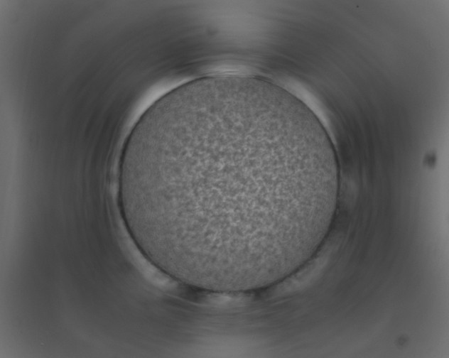 X0000094911195200712131446