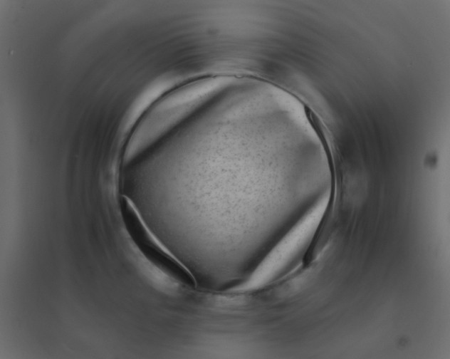 X0000094911196200712131446