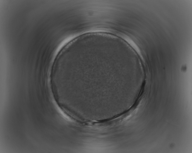 X0000094911197200712131446