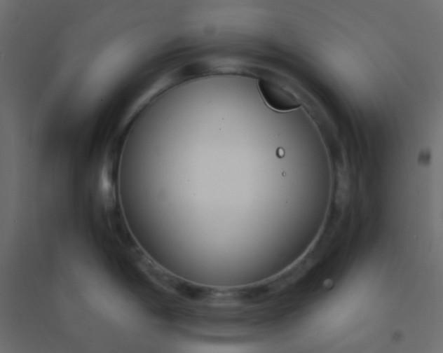 X0000094911198200712131446