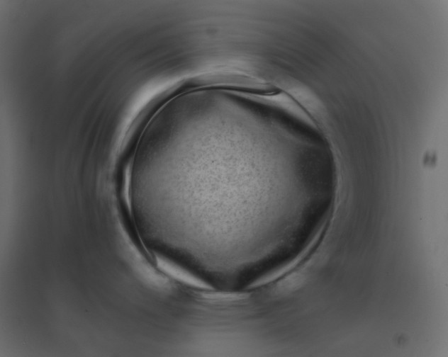 X0000094911200200712131446