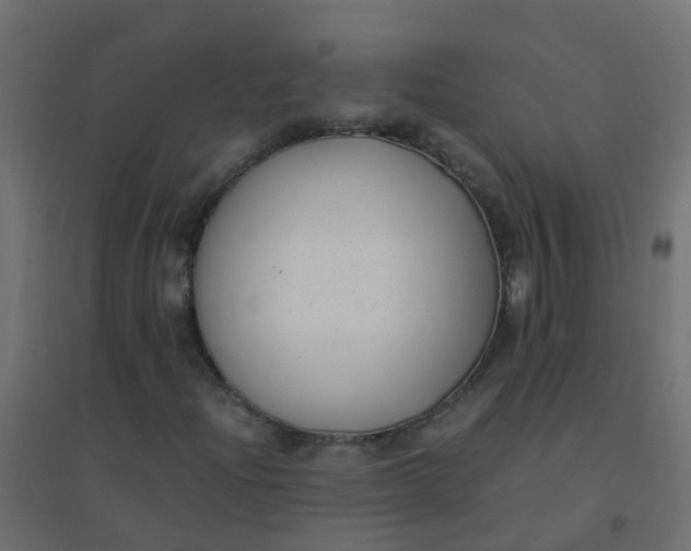 X0000094911204200712131445