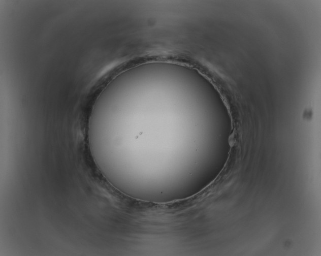 X0000094911206200712131445