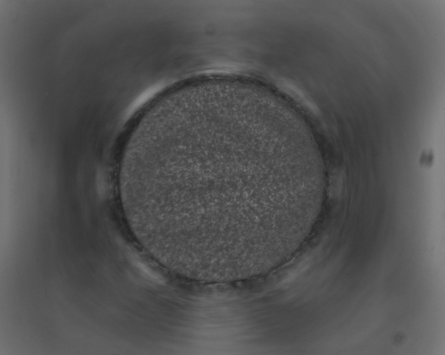 X0000094911208200712131445