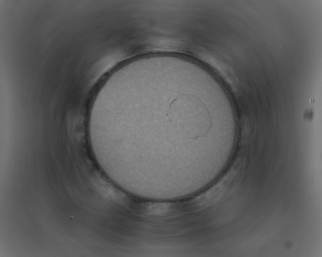 X0000094911211200712131445