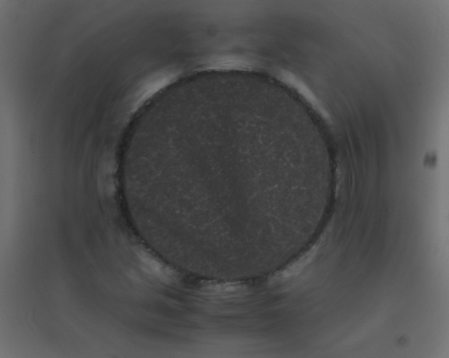 X0000094911213200712131445