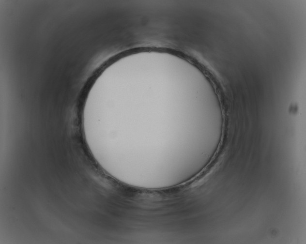 X0000094911215200712131445