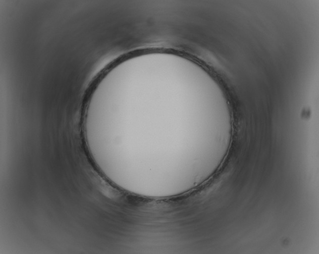 X0000094911216200712131445