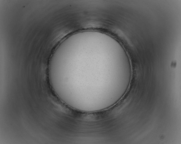 X0000094911217200712131445