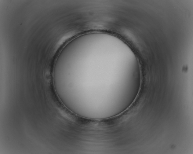 X0000094911218200712131445