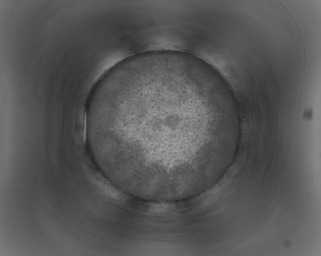 X0000094911219200712131445