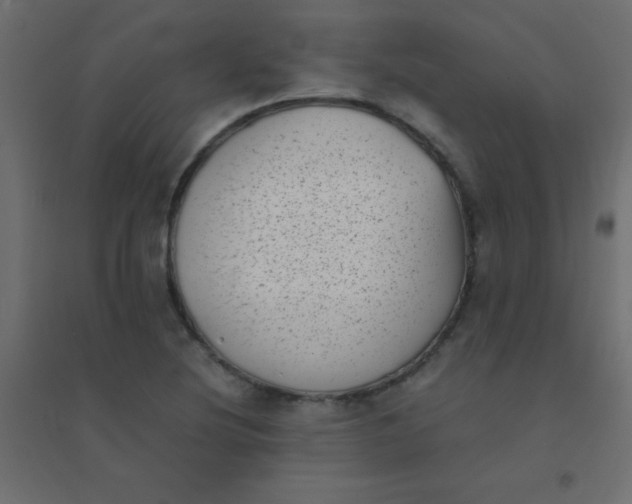 X0000094911220200712131445