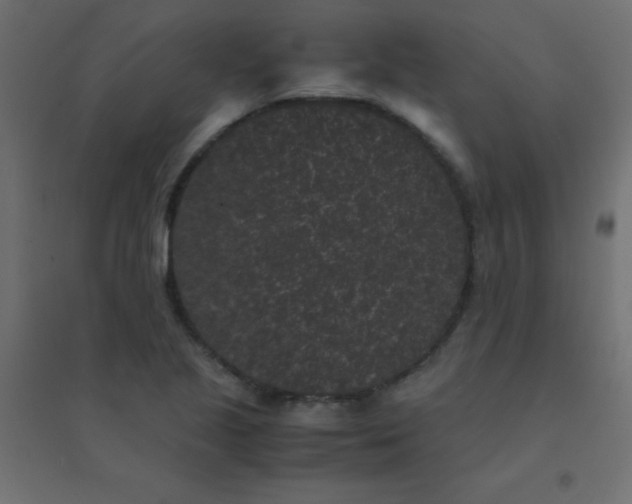 X0000094911221200712131445