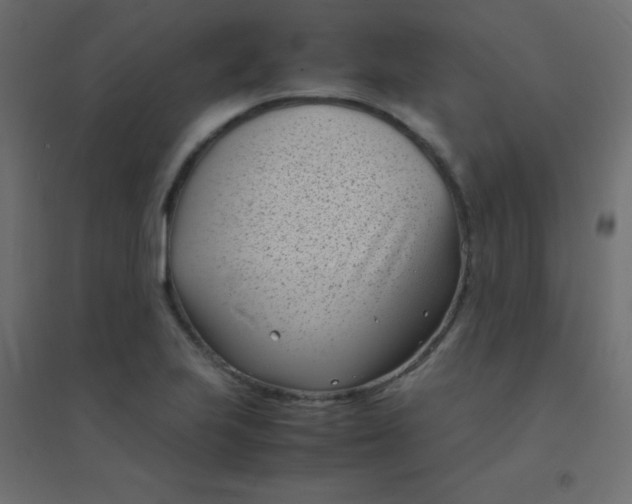 X0000094911223200712131445