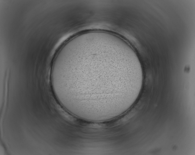 X0000094911224200712131445