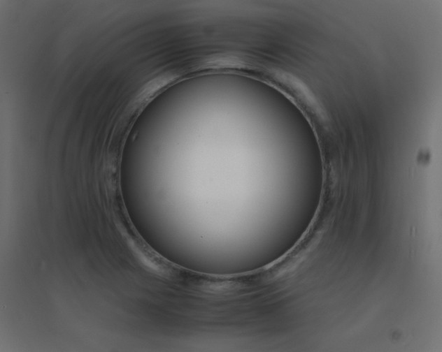 X0000094911225200712131445