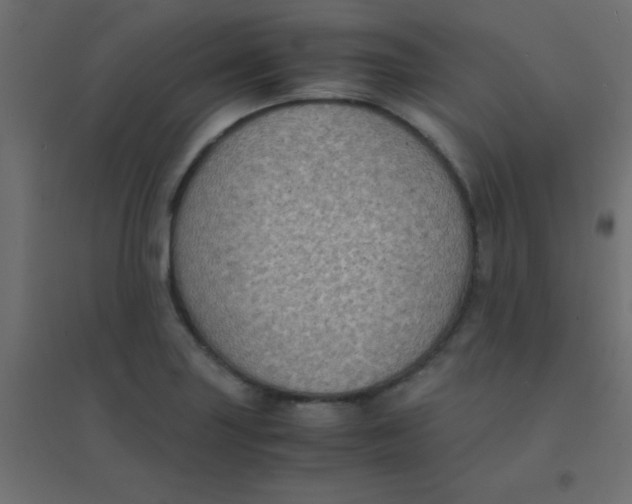 X0000094911227200712131445