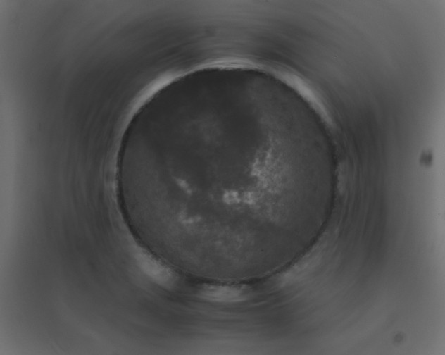 X0000094911229200712131445