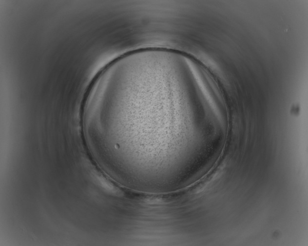 X0000094911230200712131445