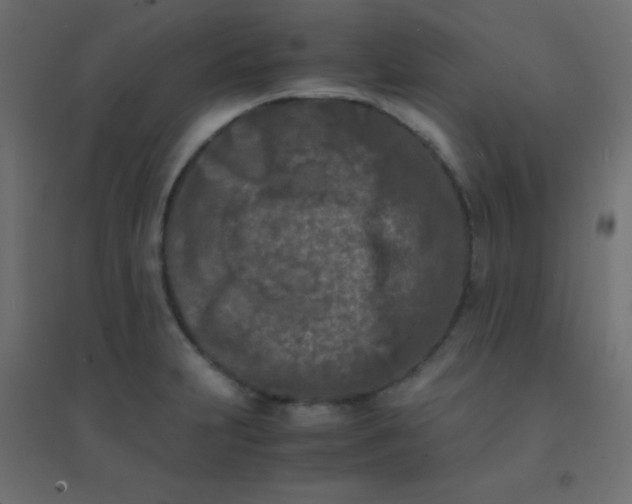 X0000094911231200712131445