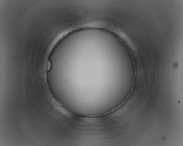 X0000094911232200712131445
