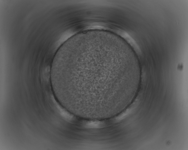 X0000094911233200712131445