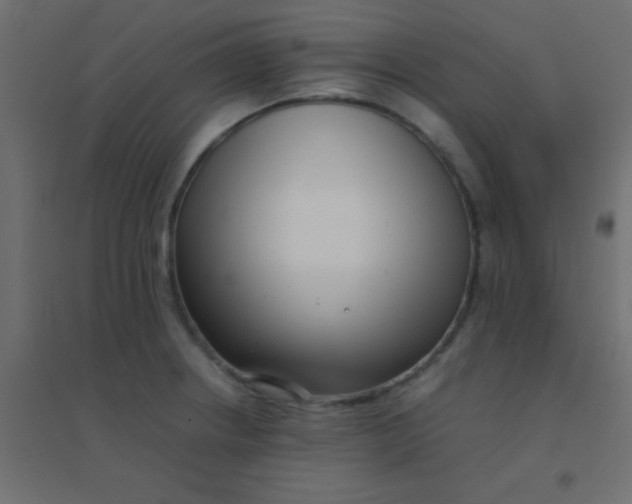 X0000094911234200712131445