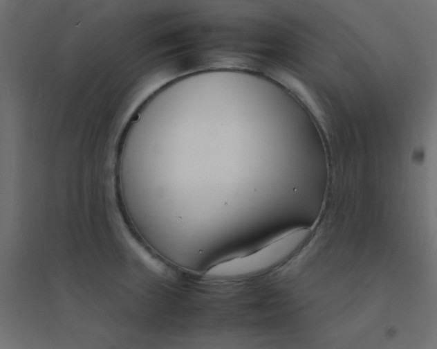 X0000094911235200712131445