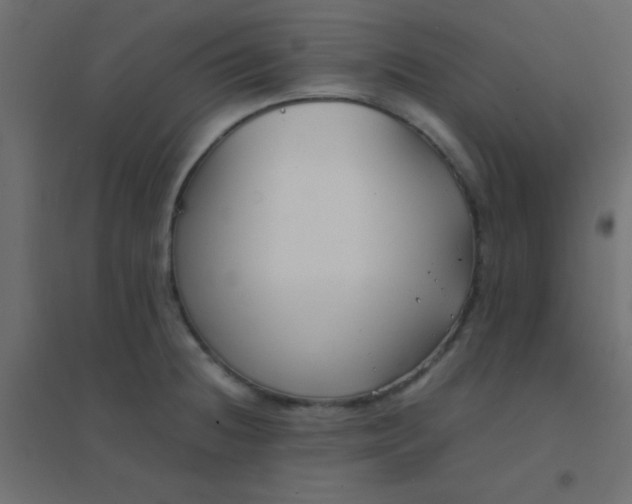 X0000094911236200712131445