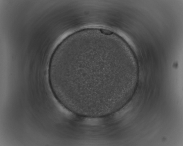X0000094911237200712131445