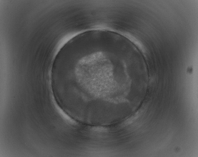 X0000094911239200712131445