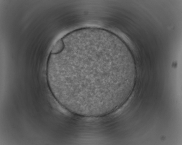 X0000094911240200712131446