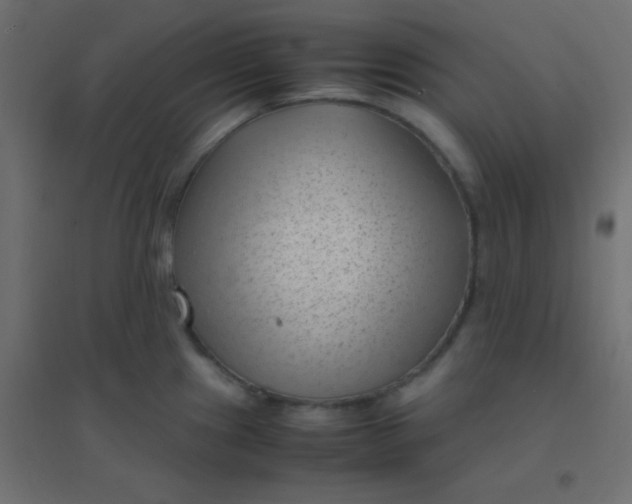 X0000094911241200712131446