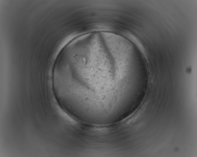 X0000094911243200712131446