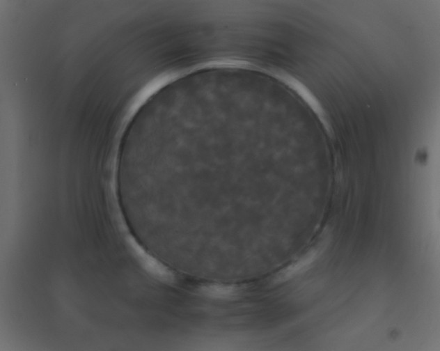 X0000094911245200712131446